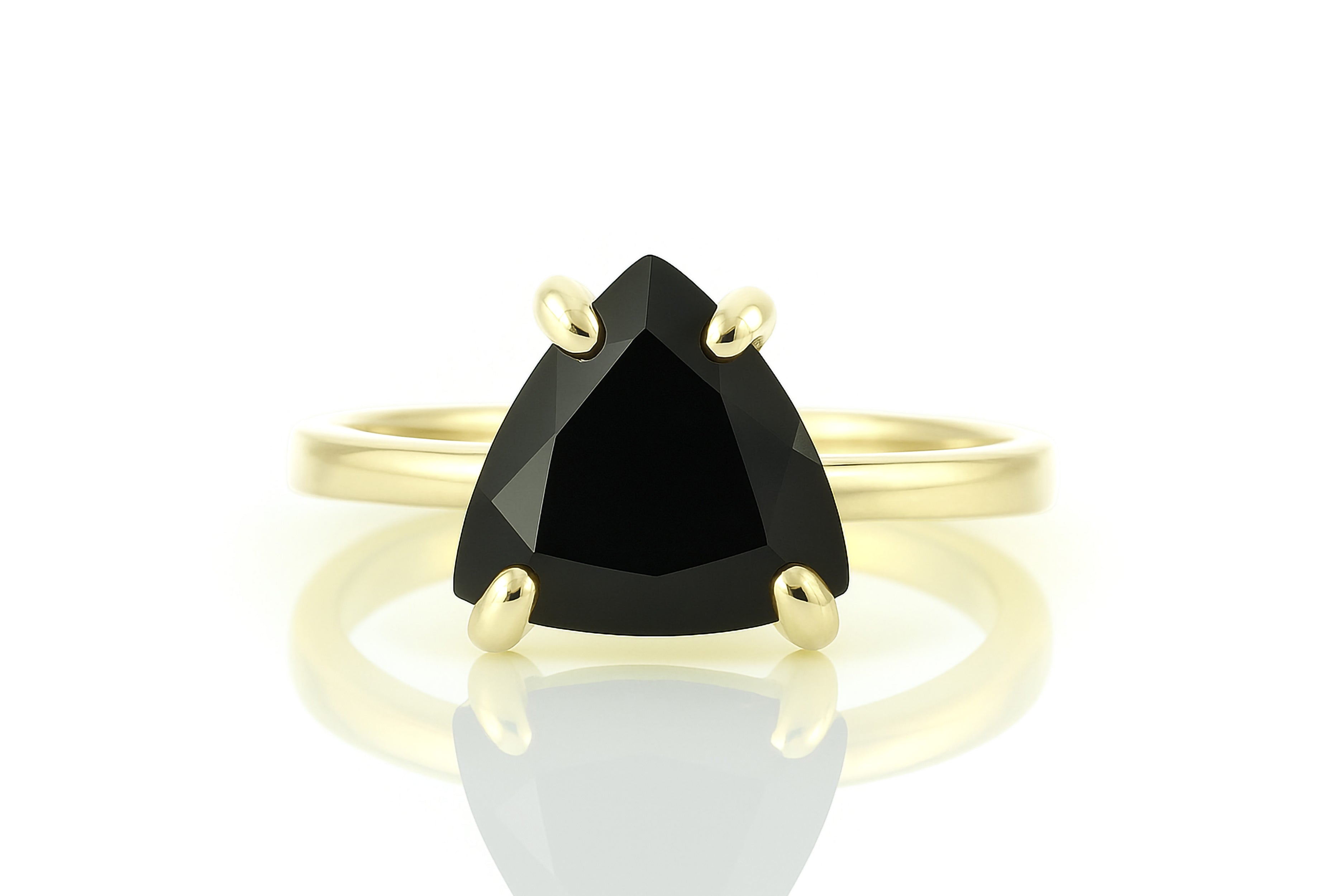 Black Onyx Ring in 14K Gold-filled Band Rings Anemone Unique