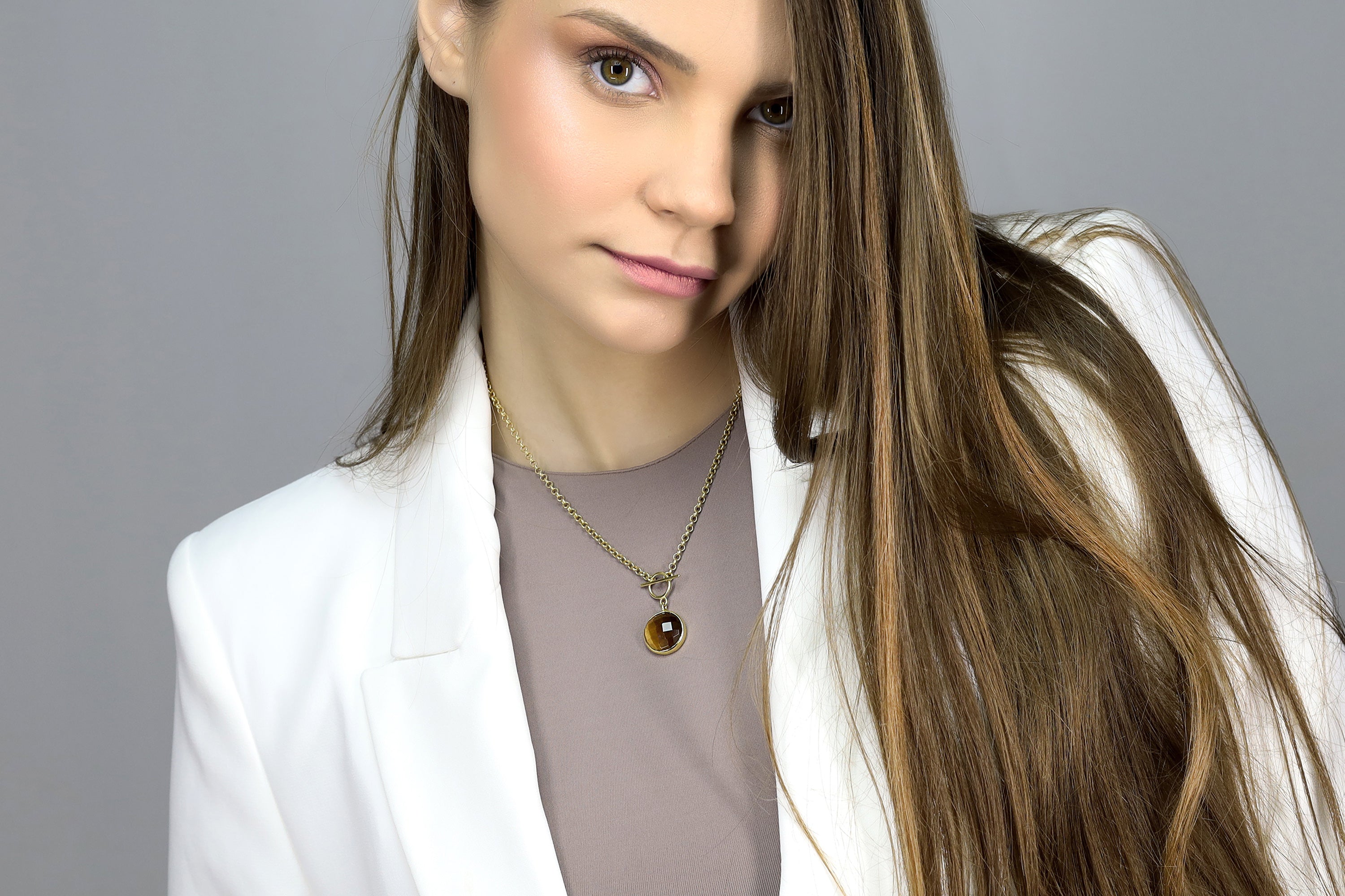 Tiger's Eye Round Pendant Necklace in 14k Gold necklaces Anemone Limited